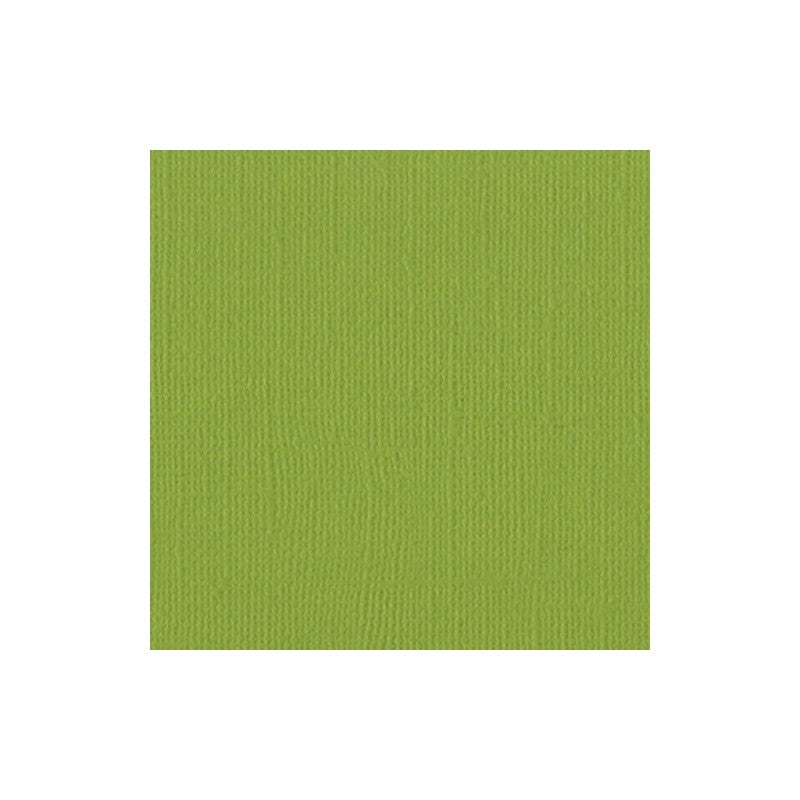 cartulina texturizada papel bazill verde periquito