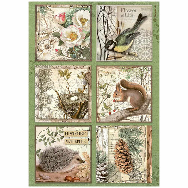 Papel de Arroz A4 Cartas Stamperia