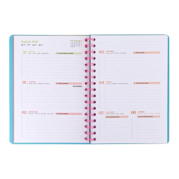 agenda mr wonderful economica 2026-2027 18 meses
