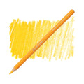 Amarillo Oro 14