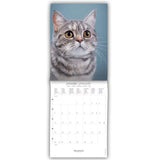 calendario de pared pequeño gatos 2026
