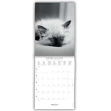 calendario de pared 2026 de gatos blanco y nergo pequeño