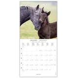 calendario grande de caballos 2026 draeger