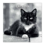 calendario grande 2026 gatos blanco y negro