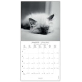 calendario grande 2026 gatos en blanco y negro