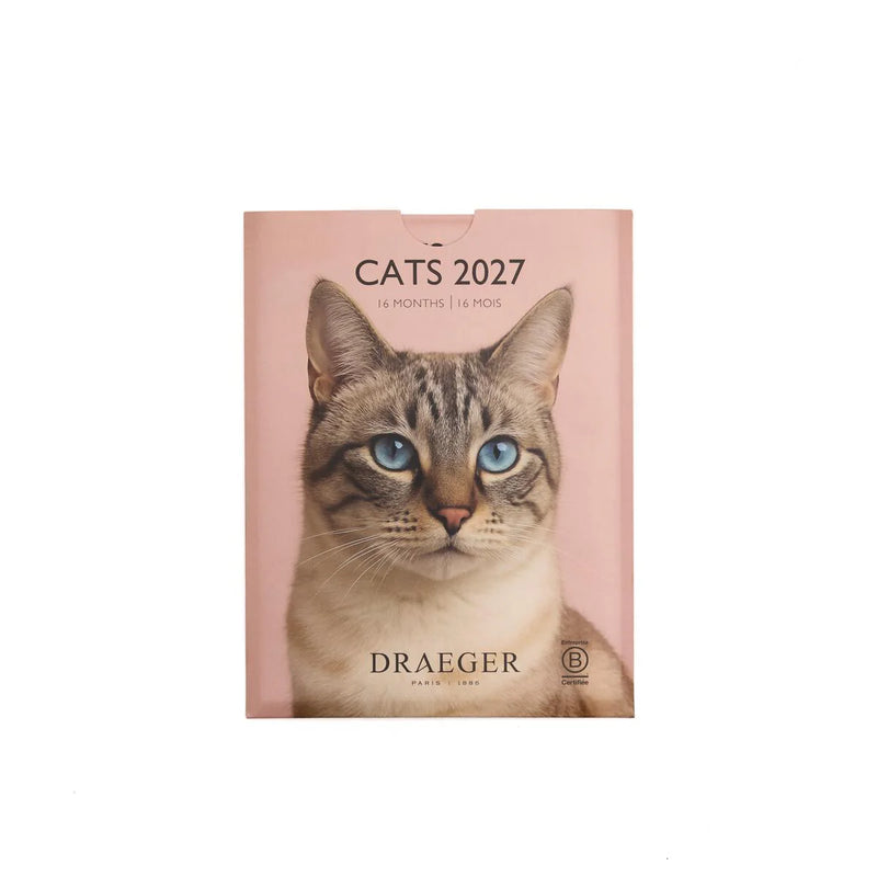 718 Calendario Peq. Gatos 2027