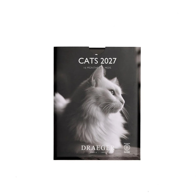 718 Calendario Peq. Gatos B&N 2027
