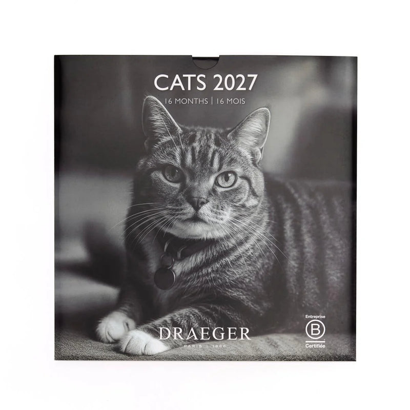 708 Calendario Gde. Gatos B&N 2027