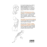 Anatomía artística 5: Articulaciones y funciones musculares (5)