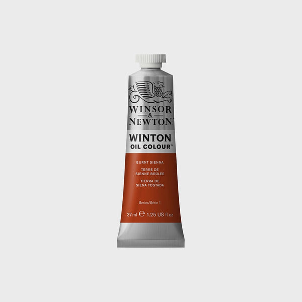 Pintura al Óleo Winton 37ml Winsor & Newton & Tierra De Siena Tostada