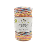 OVILLO ECO VITA 4MM Nº106 250gr MULTICOLOR