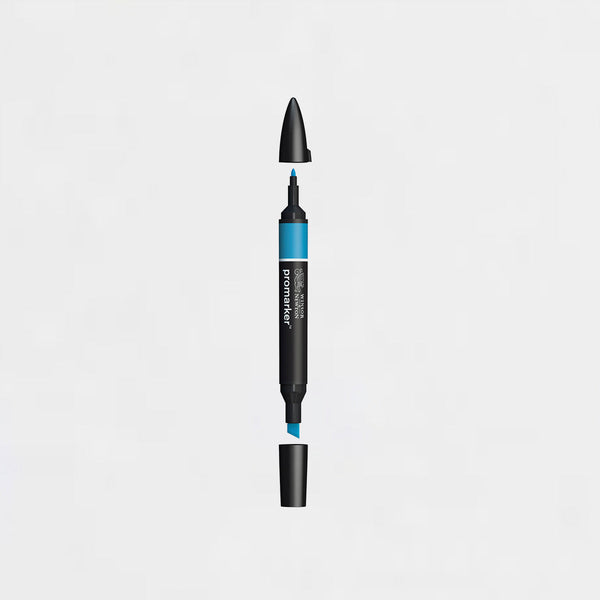 Rotulador Promarker Winsor & Newton (2/2) & AEGEAN (B146)