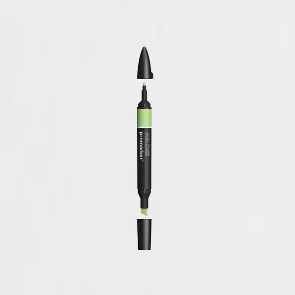 Rotulador Promarker Winsor & Newton (1/2) & APPLE (G338)