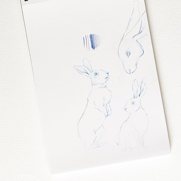 Bloc Dibujo A4 Amperse (1)