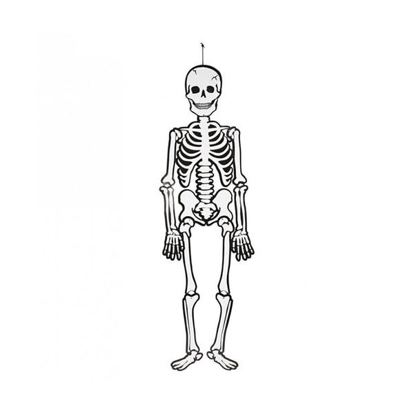 ESQUELETO 120CM