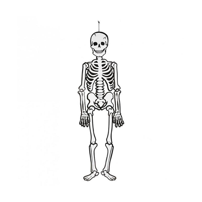 ESQUELETO 120CM