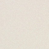 CARTULINA a4 PURPURINA BLANCA