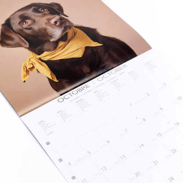 Calendario 2027 Grande Perros Draeger