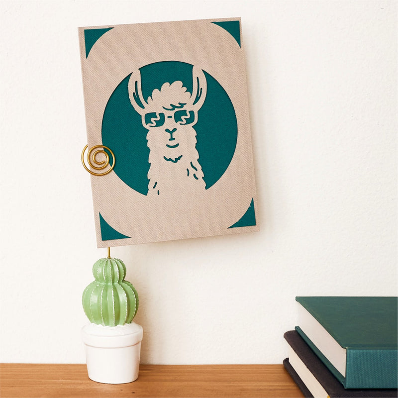 Cricut Joy Gift Bundle + Curso de Iniciación de Regalo