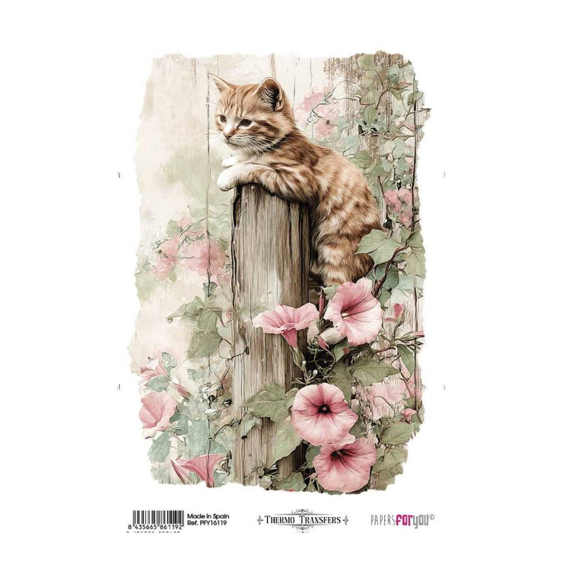 Thermo Transfers 20x30 8x12  1 Hoja (Farm & Flowers Cats)