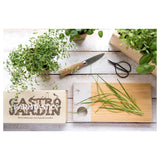 kit huerto en casa hierbas aromaticas