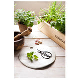 kit gastrojardin huerto mediterráneo