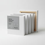 Lienzo 3D Starter Algodón Amperse