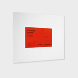 lienzos de pintura entelados amperse