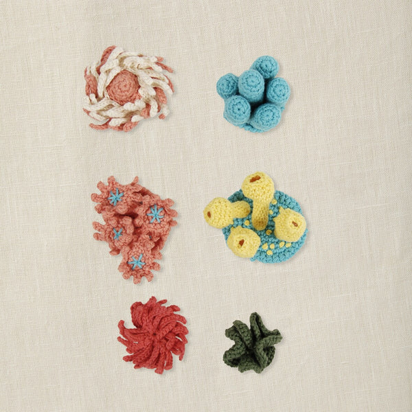 Kit Amigurumi Corales DMC