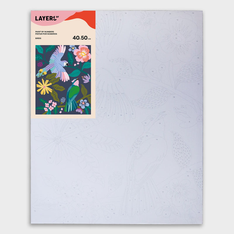 paint by numbers layers of diseño birds