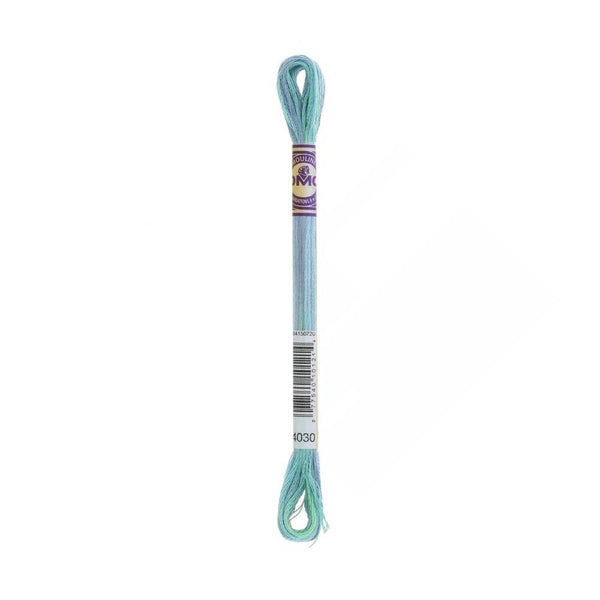 hilo mouline multicolor DMC 4030
