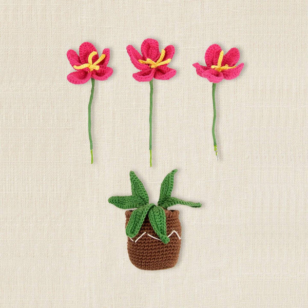 Kit Amigurumi Tiesto con Flores DMC