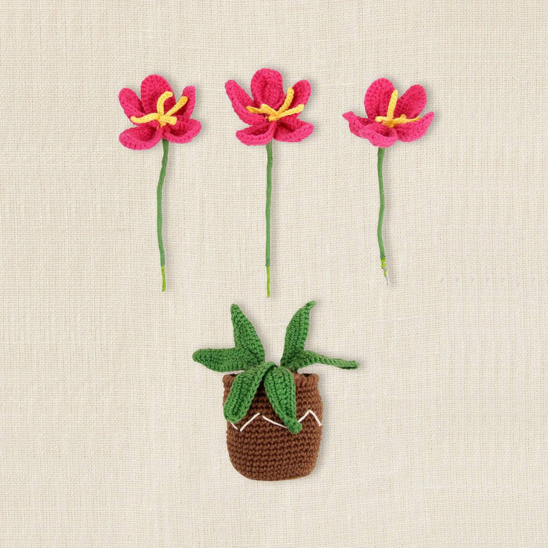Kit Amigurumi Tiesto con Flores DMC