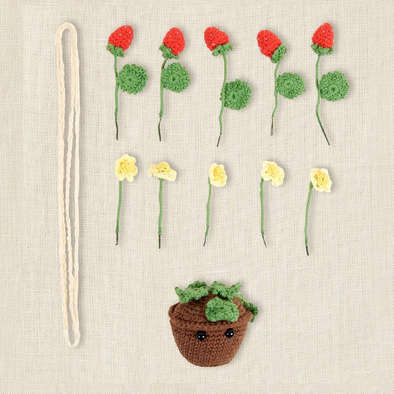 Kit Amigurumi Morango DMC