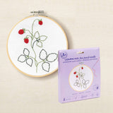 Kit de iniciação de agulha de punção fina DMC