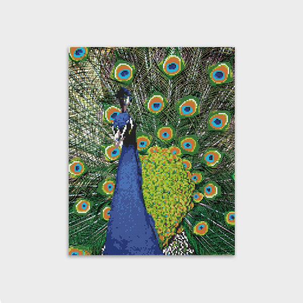 kits diamond painting peacock layers of