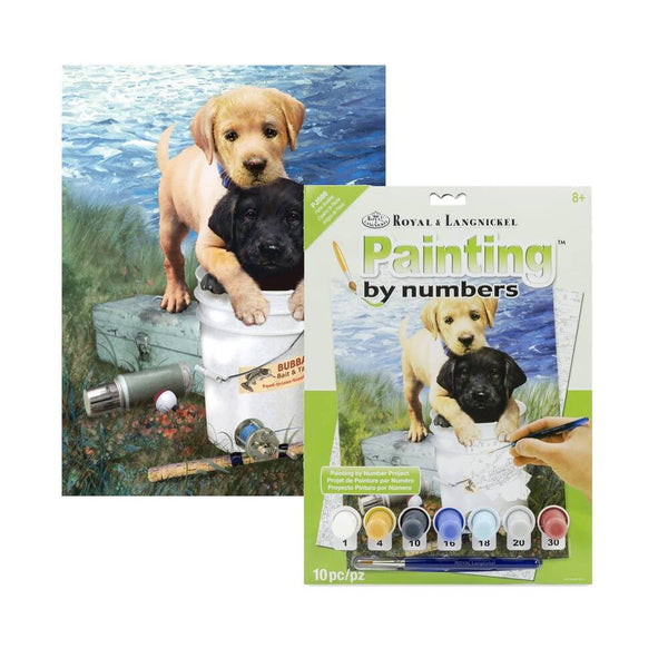 set de pintar por numeros fishing buddies royal langnickel