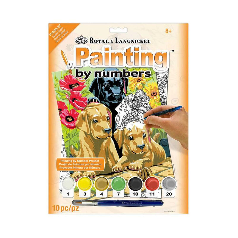 pintar por numeros lienzo cachorros set completo