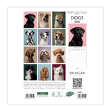 calendario pequeño 2026 para pared de perros