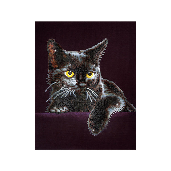 Kit de pintura diamante Midnight Cat Diamond Dotz