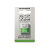 acuarela profesional winsor & newton media pastilla verde vejiga