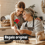 construcción de bloques terminada rosa roja science for you