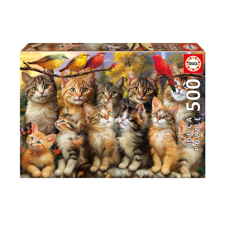 Puzzle 500 Piezas Gatitos y Pájaros Educa