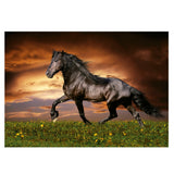 Puzzle Educa 1000 piezas Caballo de Trote 