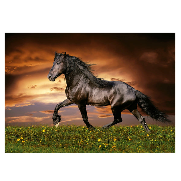 Puzzle Educa 1000 piezas Caballo de Trote 