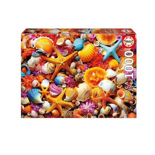 Puzzle Educa 1000 piezas Collage de Conchas rompecabezas marino