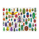 Puzzle Educa 500 Piezas Escarabajos, rompecabezas 