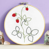 Kit de iniciação de agulha de punção fina DMC