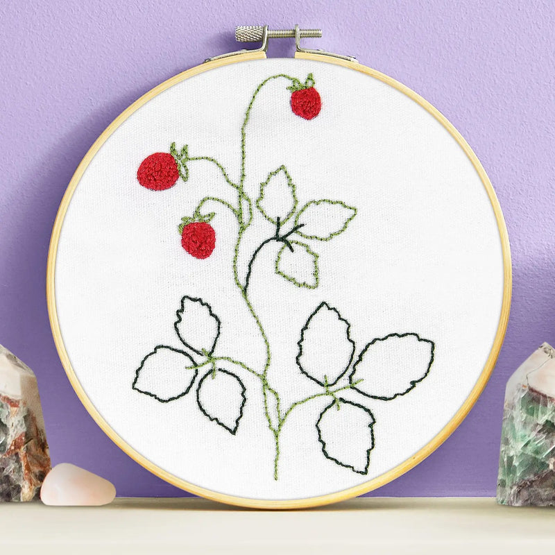 Kit de iniciação de agulha de punção fina DMC