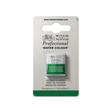 acuarela profesional winsor & newton media pastilla verde hooker